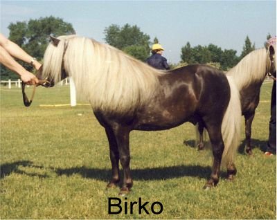 birko400